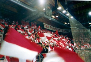 Small plastic two-colour/three-colour flags Q2